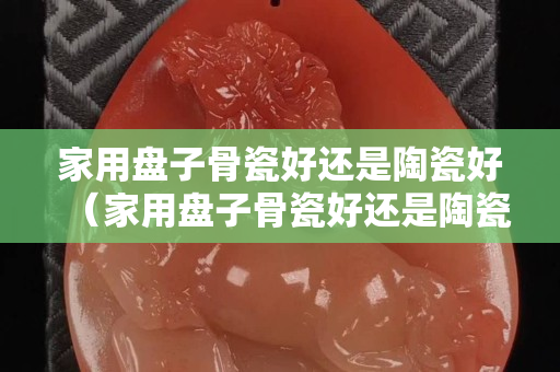 家用盘子骨瓷好还是陶瓷好（家用盘子骨瓷好还是陶瓷好呢）