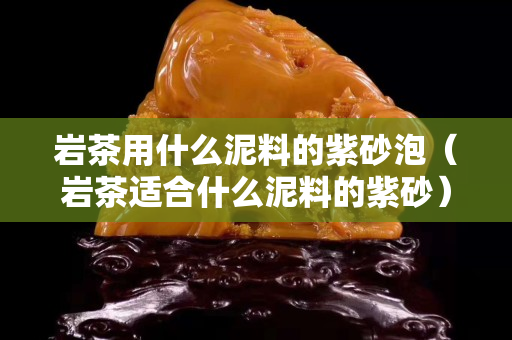 岩茶用什么泥料的紫砂泡（岩茶适合什么泥料的紫砂）