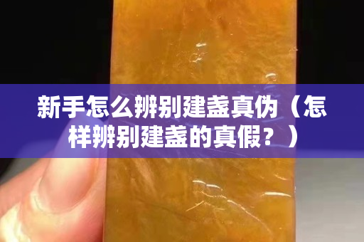 新手怎么辨别建盏真伪（怎样辨别建盏的真假？）