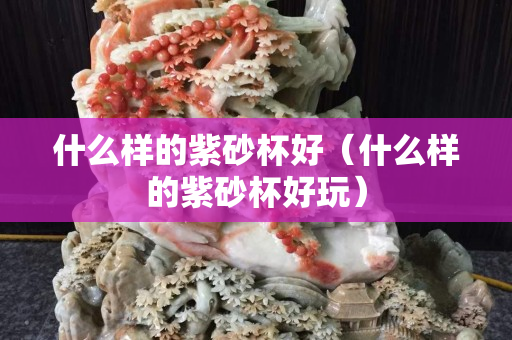 什么样的紫砂杯好（什么样的紫砂杯好玩）