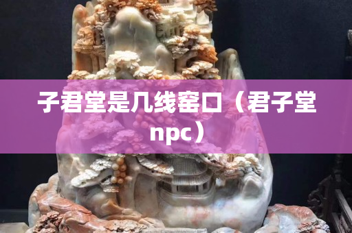 子君堂是几线窑口（君子堂npc）