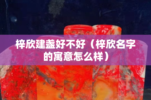 梓欣建盏好不好（梓欣名字的寓意怎么样）