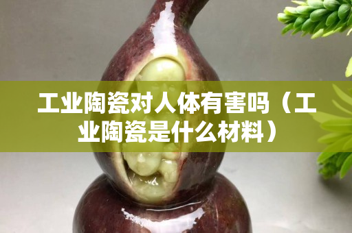 工业陶瓷对人体有害吗（工业陶瓷是什么材料）