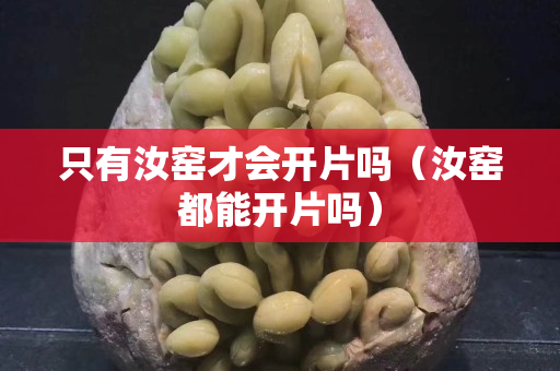 只有汝窑才会开片吗（汝窑都能开片吗）