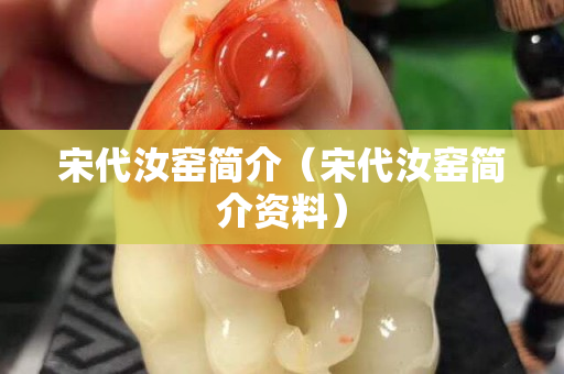 宋代汝窑简介（宋代汝窑简介资料）