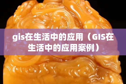 gis在生活中的应用（GIS在生活中的应用案例）