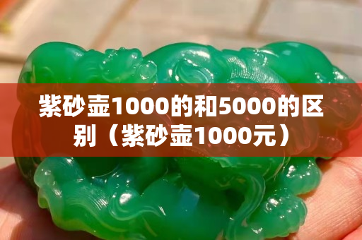 紫砂壶1000的和5000的区别（紫砂壶1000元）