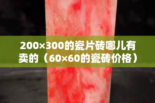 200×300的瓷片砖哪儿有卖的（60×60的瓷砖价格）