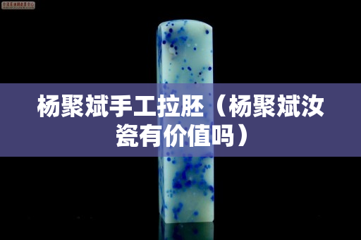 杨聚斌手工拉胚（杨聚斌汝瓷有价值吗）