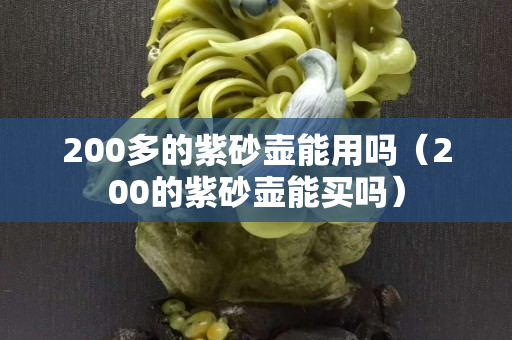 200多的紫砂壶能用吗（200的紫砂壶能买吗）