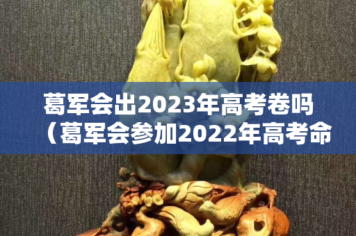 葛军会出2023年高考卷吗（葛军会参加2022年高考命题吗）