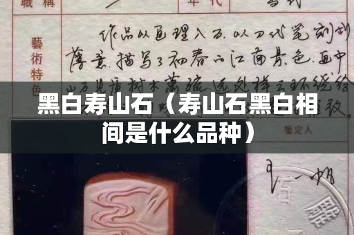 黑白寿山石（寿山石黑白相间是什么品种）