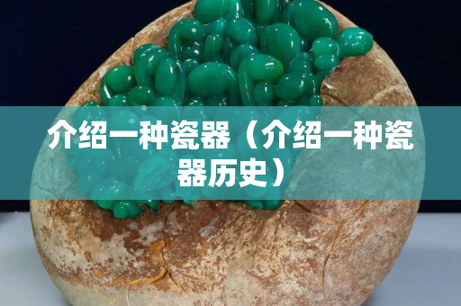 介绍一种瓷器（介绍一种瓷器历史）