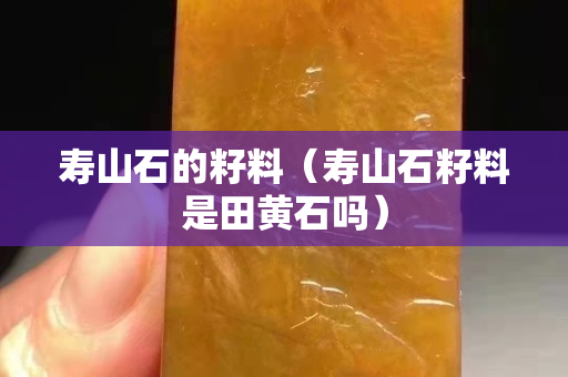 寿山石的籽料（寿山石籽料是田黄石吗）