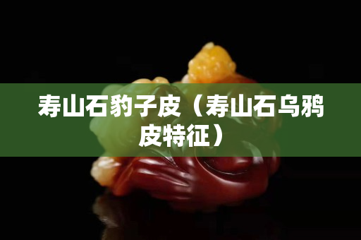 寿山石豹子皮（寿山石乌鸦皮特征）