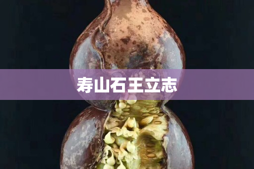 寿山石王立志