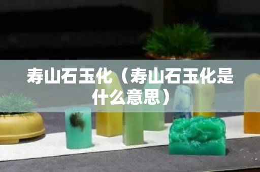 寿山石玉化（寿山石玉化是什么意思）