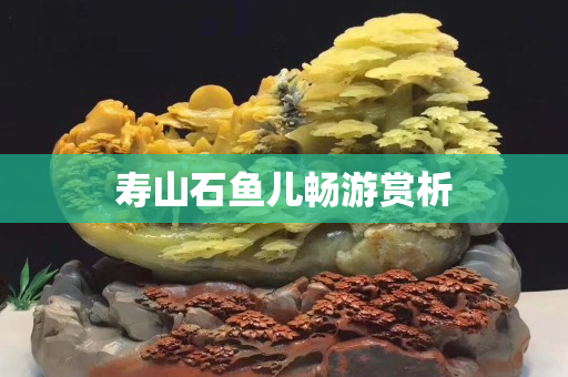 寿山石鱼儿畅游赏析