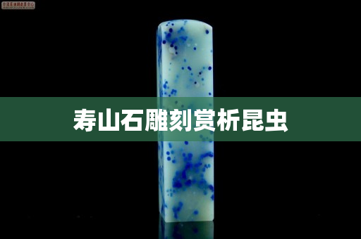 寿山石雕刻赏析昆虫