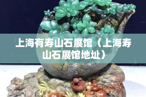 上海有寿山石展馆（上海寿山石展馆地址）