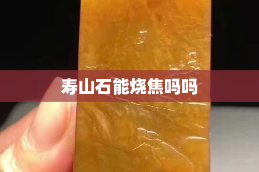 寿山石能烧焦吗吗