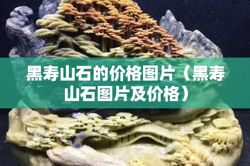 黑寿山石的价格图片（黑寿山石图片及价格）