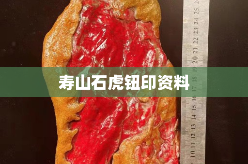 寿山石虎钮印资料