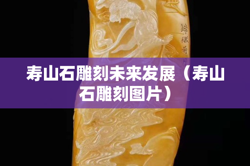 寿山石雕刻未来发展（寿山石雕刻图片）