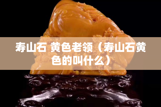 寿山石 黄色老领（寿山石黄色的叫什么）