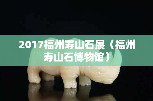 2017福州寿山石展（福州寿山石博物馆）