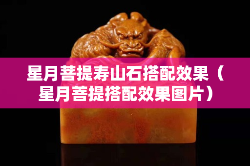 星月菩提寿山石搭配效果（星月菩提搭配效果图片）