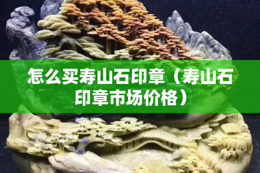 怎么买寿山石印章（寿山石印章市场价格）