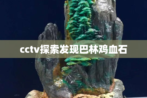 cctv探索发现巴林鸡血石