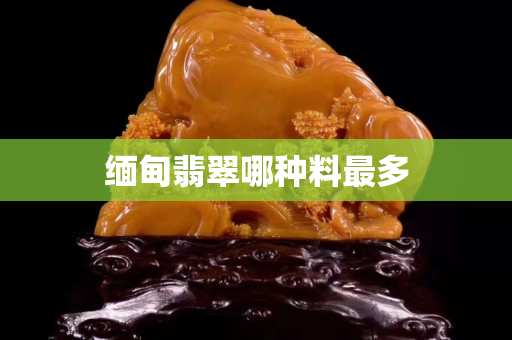 缅甸翡翠哪种料最多