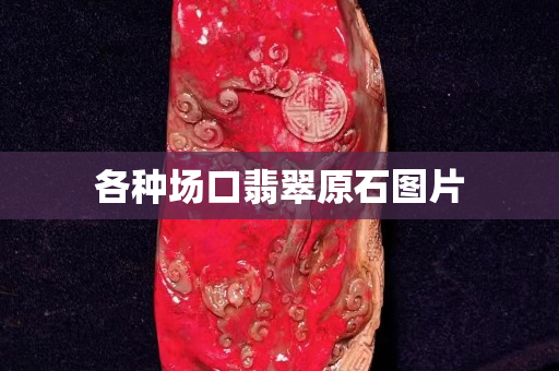 各种场口翡翠原石图片