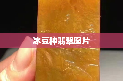 冰豆种翡翠图片