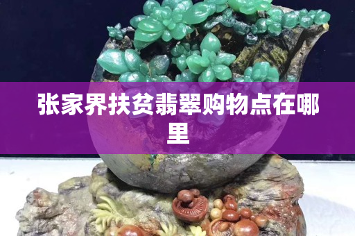 张家界扶贫翡翠购物点在哪里