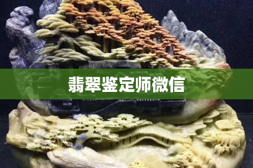 翡翠鉴定师微信