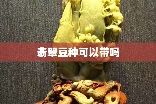 翡翠豆种可以带吗