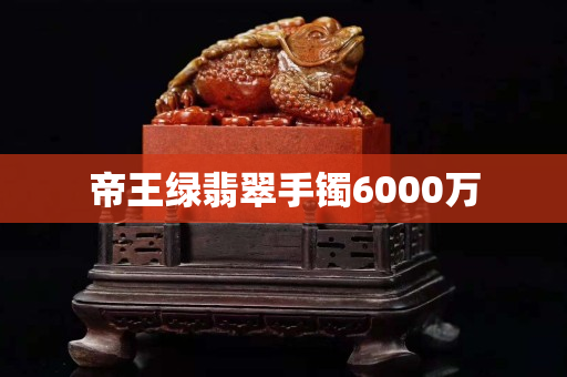 帝王绿翡翠手镯6000万