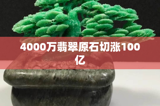 4000万翡翠原石切涨100亿