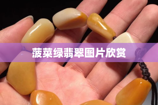 菠菜绿翡翠图片欣赏