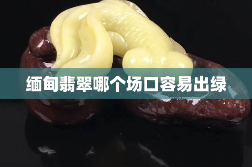 缅甸翡翠哪个场口容易出绿