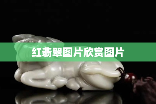 红翡翠图片欣赏图片