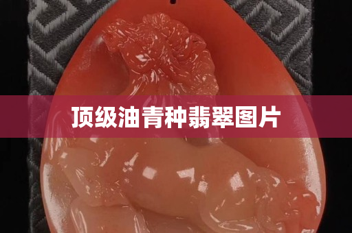 顶级油青种翡翠图片