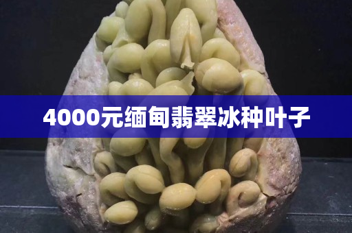 4000元缅甸翡翠冰种叶子