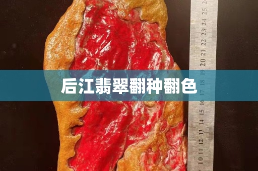 后江翡翠翻种翻色