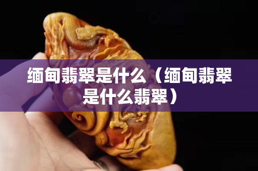 缅甸翡翠是什么（缅甸翡翠是什么翡翠）