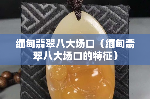 缅甸翡翠八大场口（缅甸翡翠八大场口的特征）