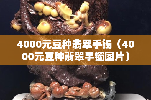 4000元豆种翡翠手镯（4000元豆种翡翠手镯图片）